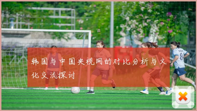 韩国与中国央视网的对比分析与文化交流探讨