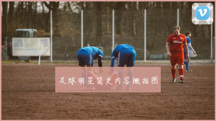 足球明星简史内容概括图