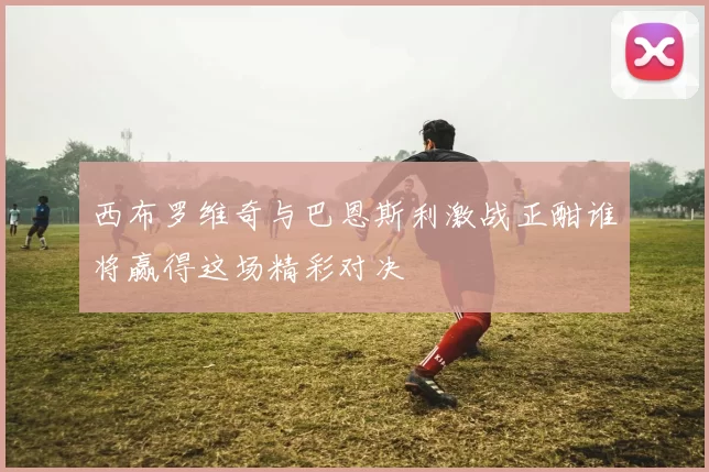 西布罗维奇与巴恩斯利激战正酣谁将赢得这场精彩对决