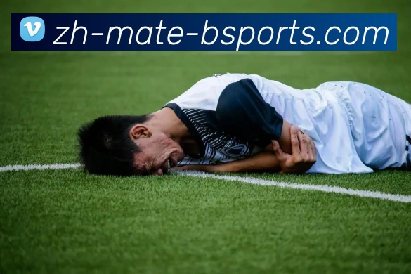 B体育平台生态图